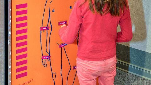 Ausstellung ECHT KLASSE, Benennung der Körperteile